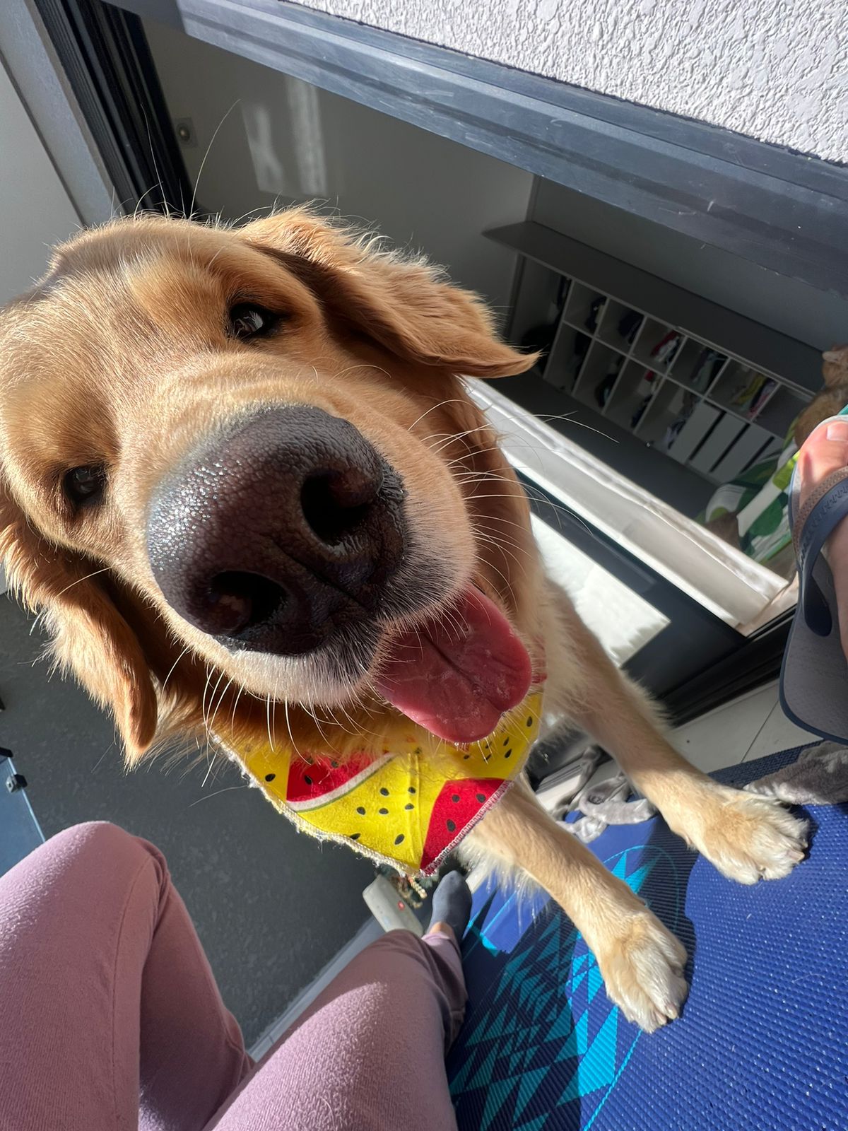 Banner — Corrida da Lua 